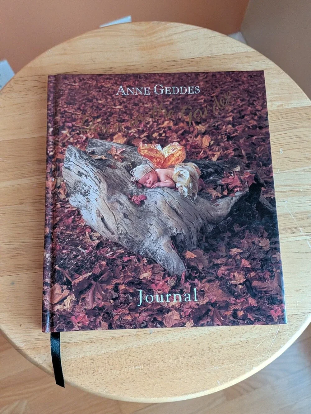 Down in the Garden Anne Geddes journaling cover
